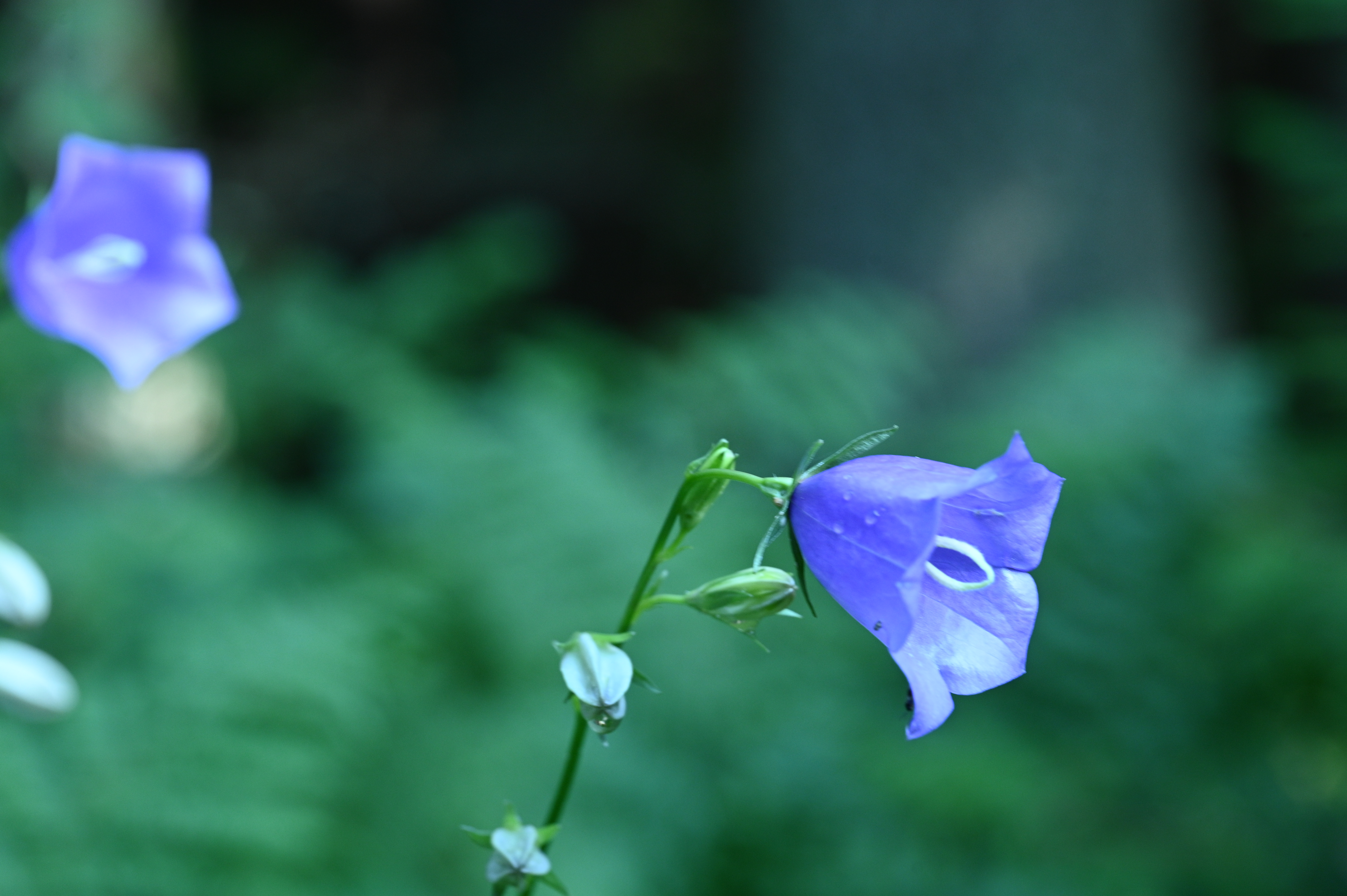 2025/07/09-14 - trip/DSC_0279.JPG